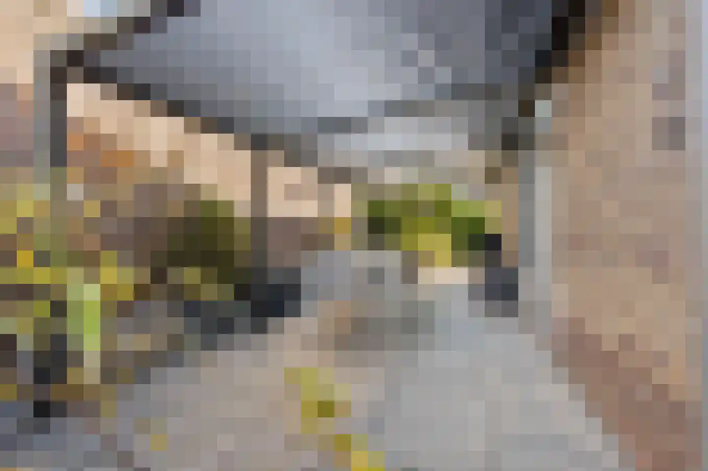 Caldenbornstraat 1 Voerendaal thumbnail 30
