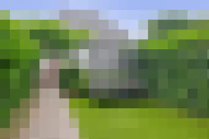 Calèche 34 Waalwijk thumbnail 18