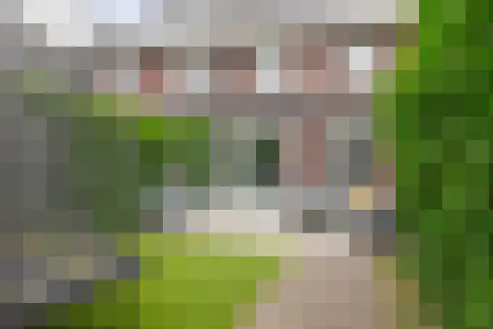 Calèche 34 Waalwijk thumbnail 19