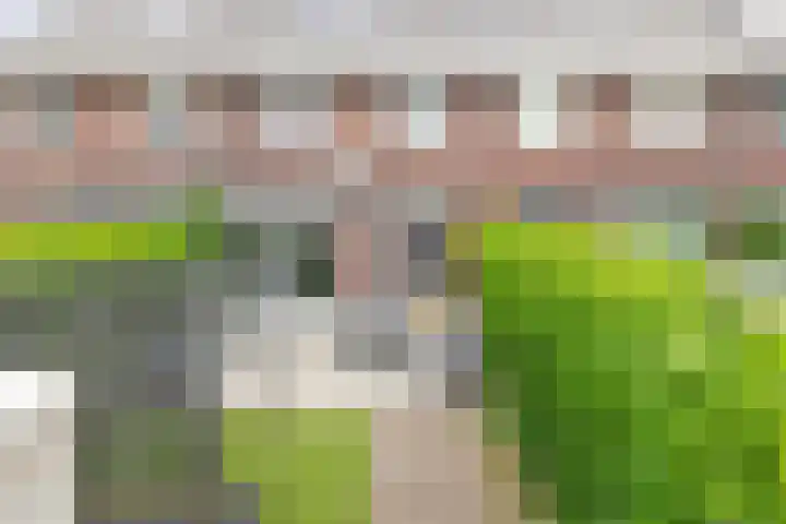 Calèche 34 Waalwijk thumbnail 20