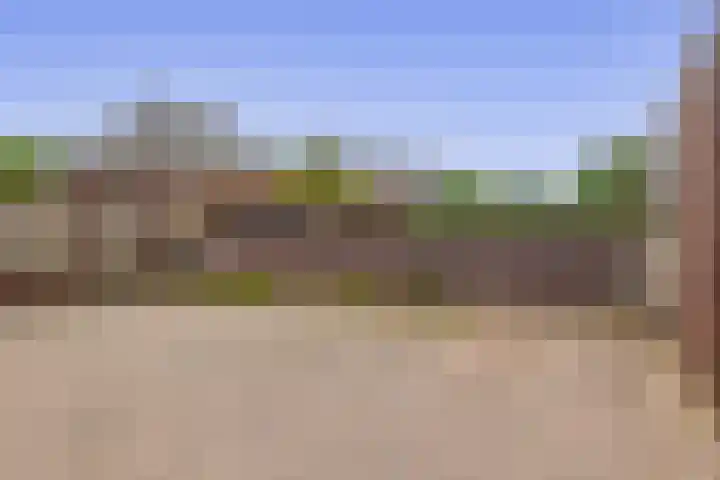 Calèche 34 Waalwijk thumbnail 24