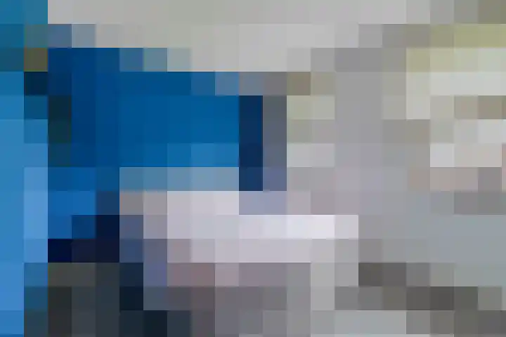 Calèche 34 Waalwijk thumbnail 27