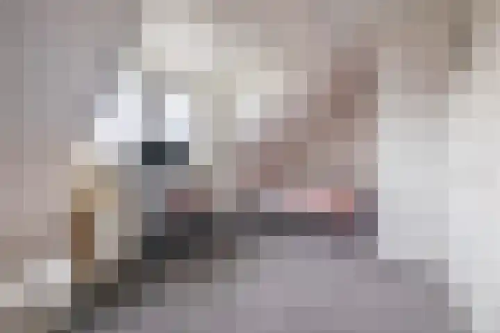 Calèche 34 Waalwijk thumbnail 37