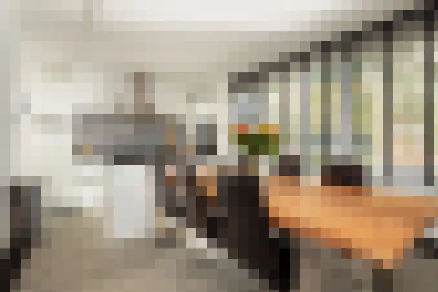 Calèche 57 Waalwijk thumbnail 12