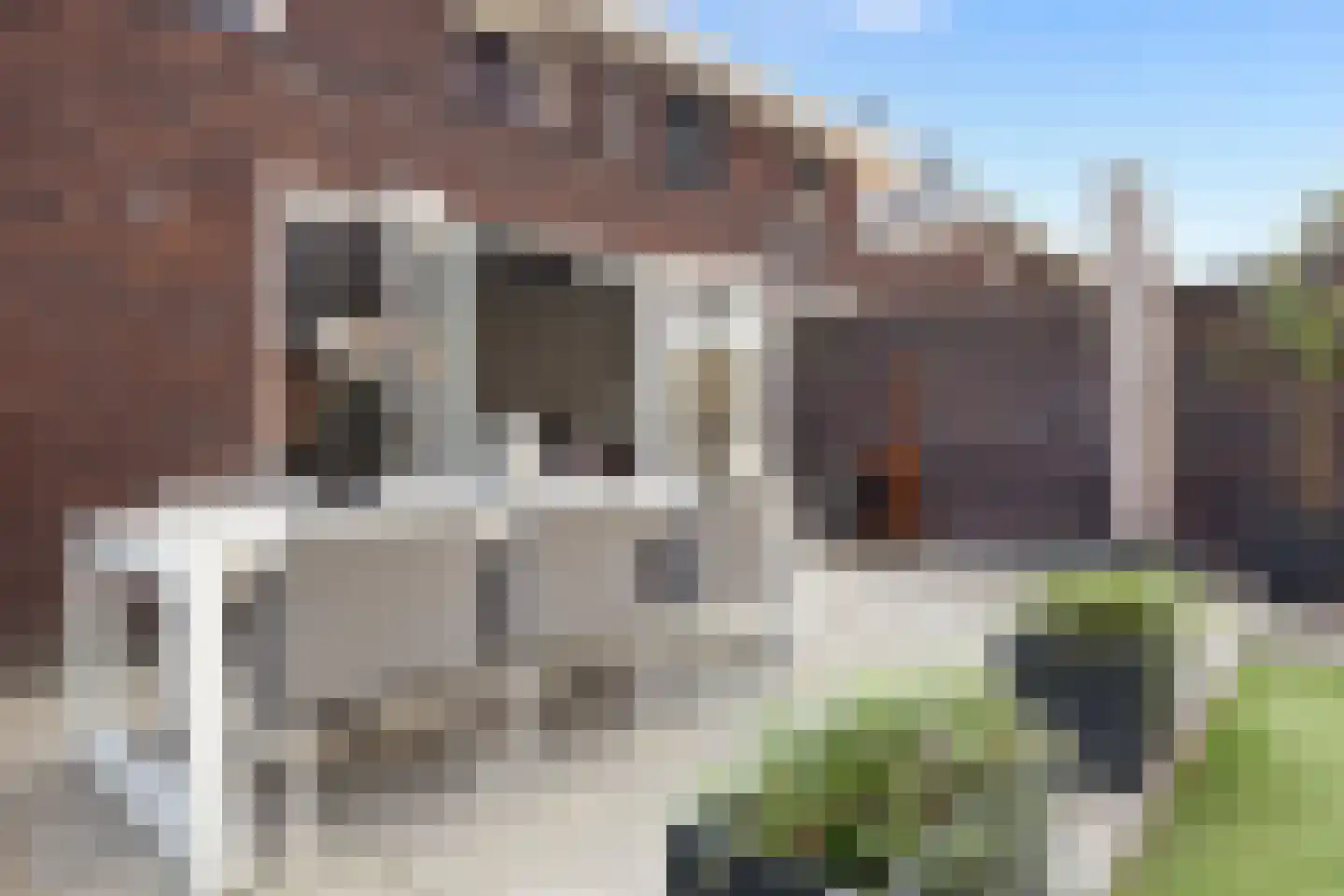 Calèche 57 Waalwijk thumbnail 28