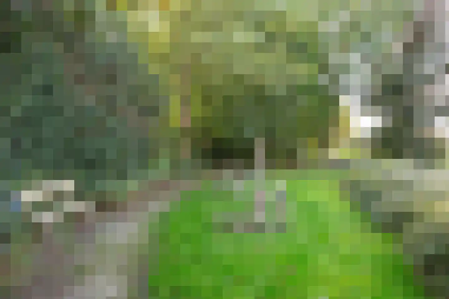 Calèche 57 Waalwijk thumbnail 39