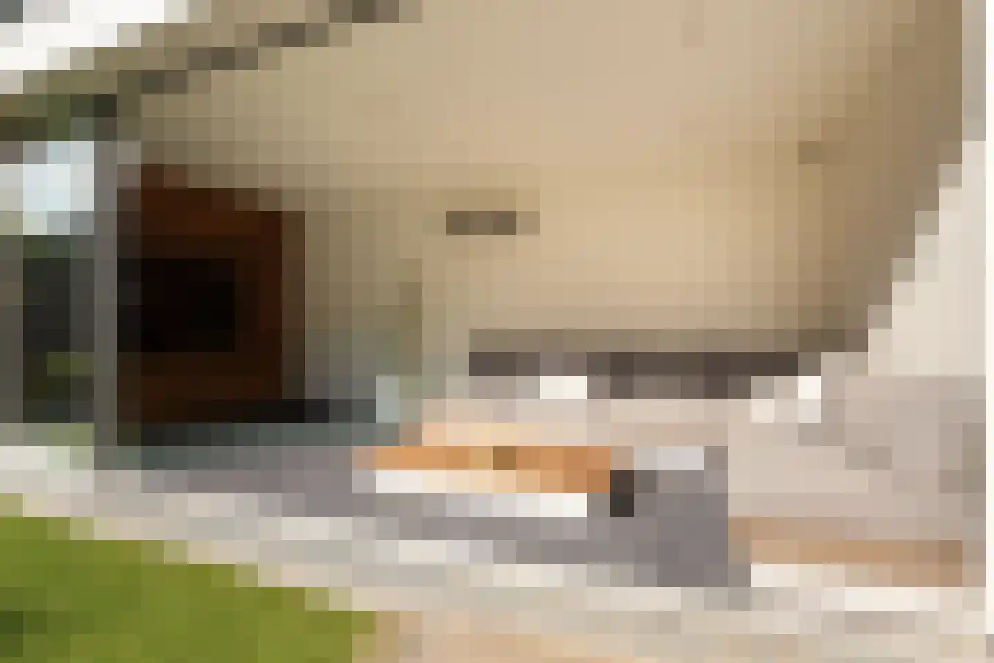 Calèche 57 Waalwijk thumbnail 4