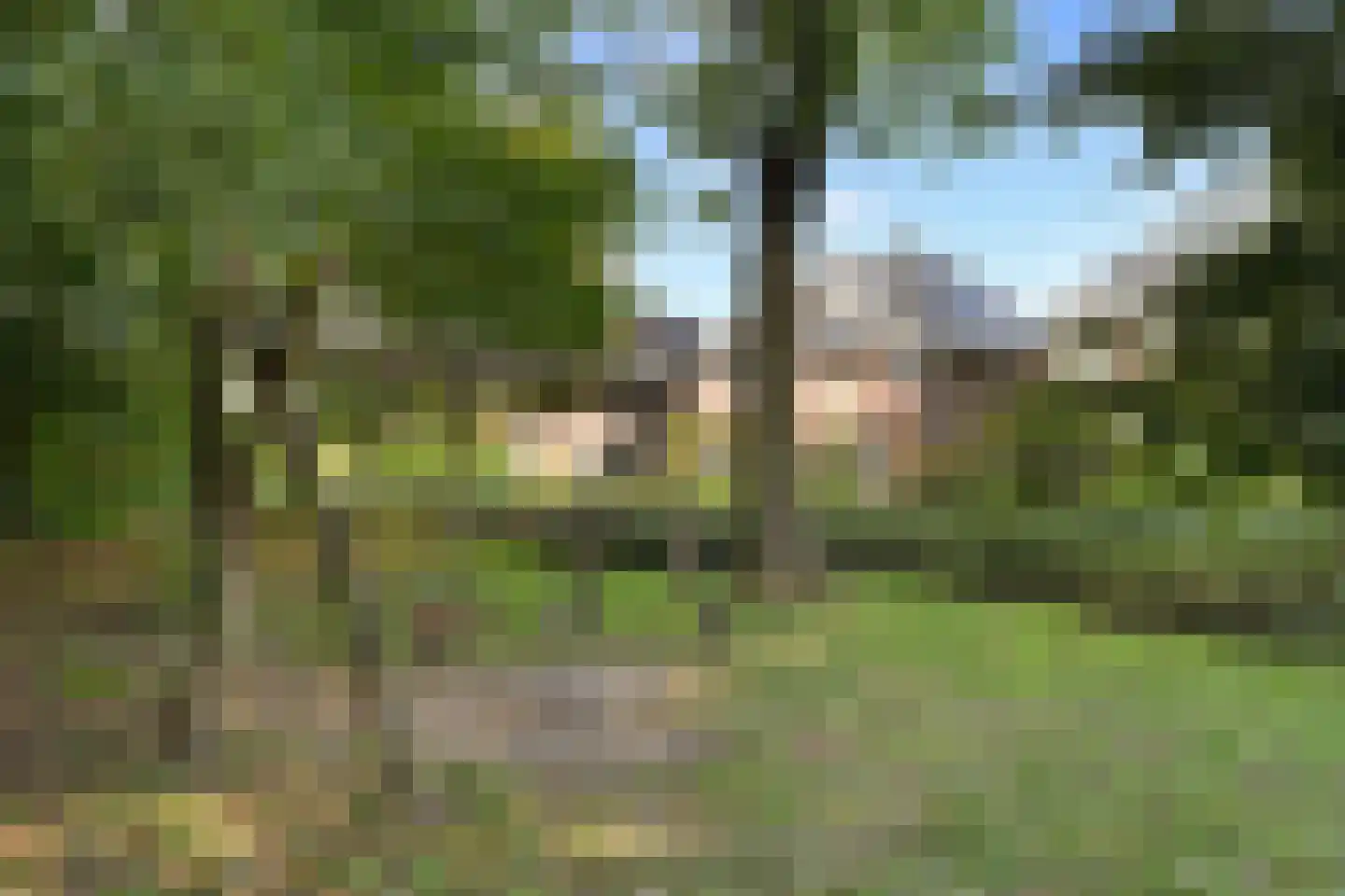 Calèche 57 Waalwijk thumbnail 5