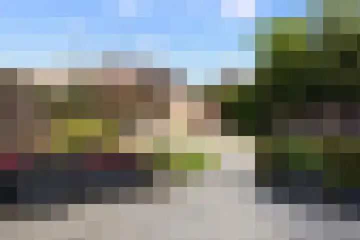 Calèche 61 Waalwijk thumbnail 29