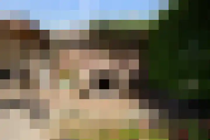 Calèche 61 Waalwijk thumbnail 31