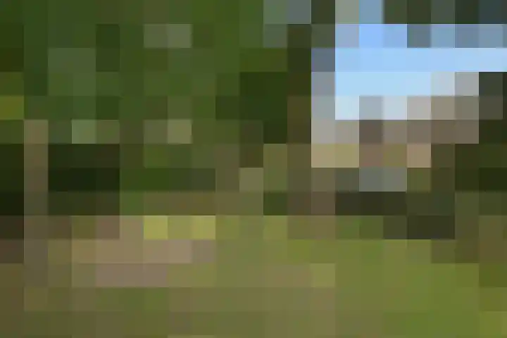 Calèche 61 Waalwijk thumbnail 49