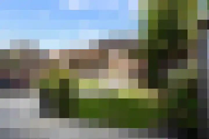 Calèche 61 Waalwijk thumbnail 5