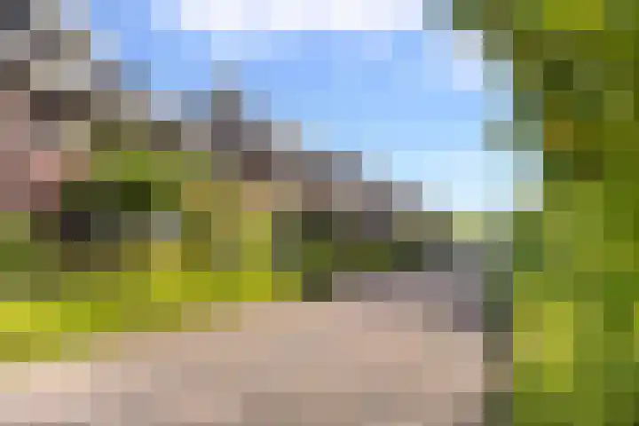 Calèche 61 Waalwijk thumbnail 6