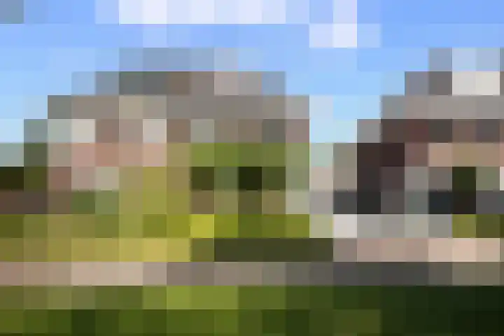 Calèche 61 Waalwijk thumbnail 7