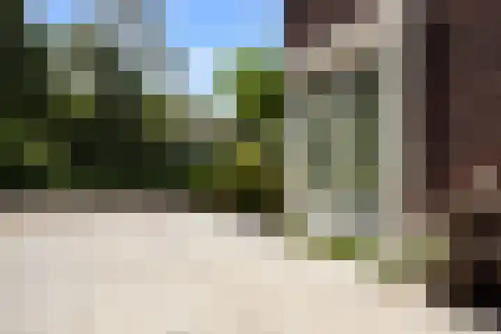 Calèche 61 Waalwijk thumbnail 8