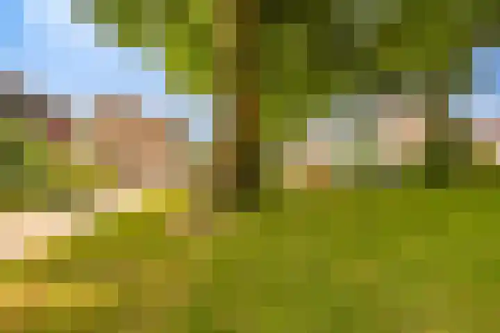 Calèchedrift 8 Nieuwegein thumbnail 20