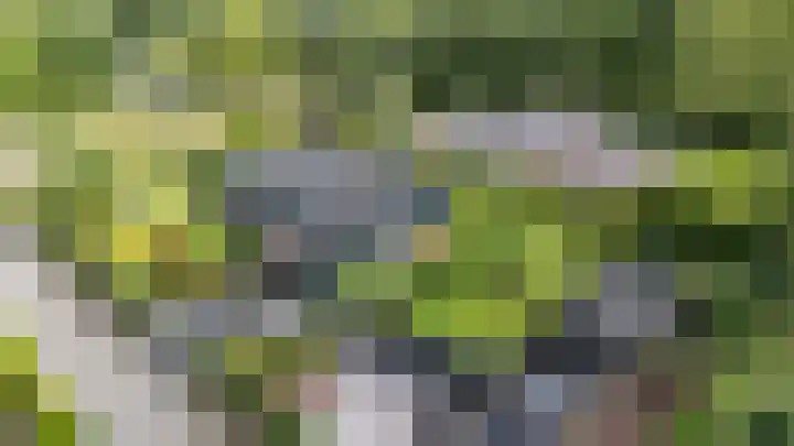 Calèchelaan 2 Leek