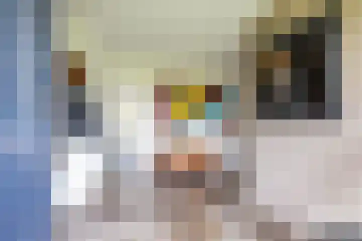 Calèchelaan 2 Leek thumbnail 10