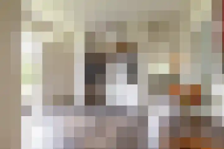Calèchelaan 2 Leek thumbnail 11