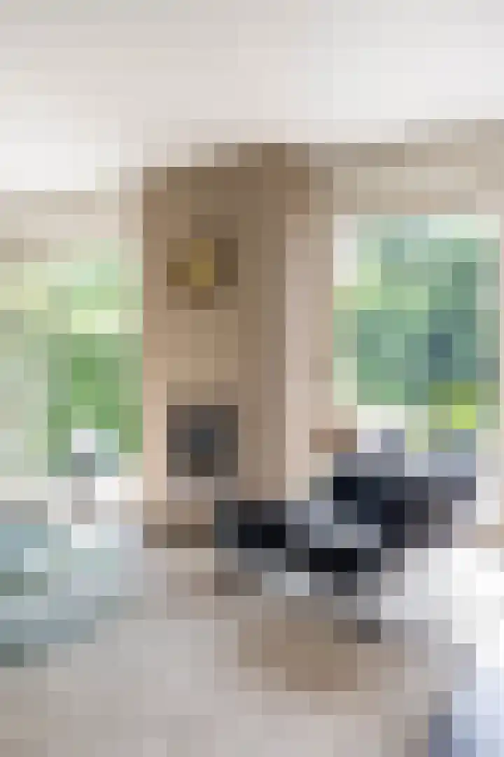 Calèchelaan 2 Leek thumbnail 23