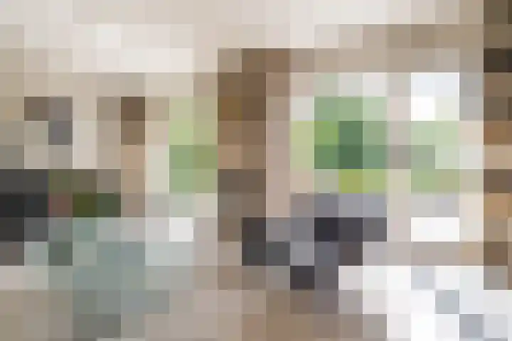 Calèchelaan 2 Leek thumbnail 26