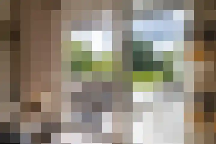 Calèchelaan 2 Leek thumbnail 27