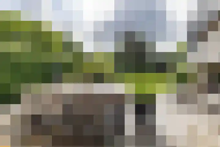 Calèchelaan 2 Leek thumbnail 28