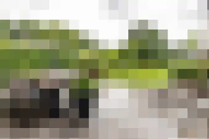 Calèchelaan 2 Leek thumbnail 29