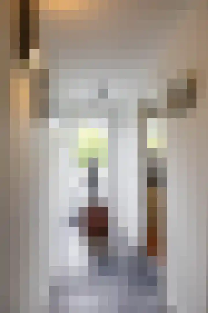 Calèchelaan 2 Leek thumbnail 35