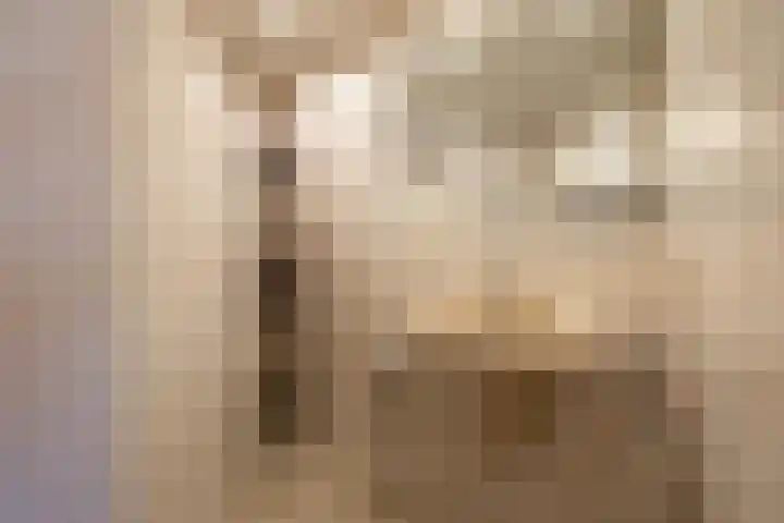 Calèchelaan 2 Leek thumbnail 42