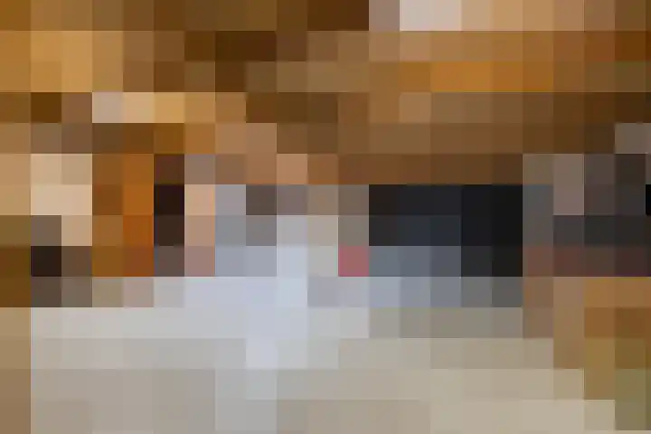 Calèchelaan 2 Leek thumbnail 45