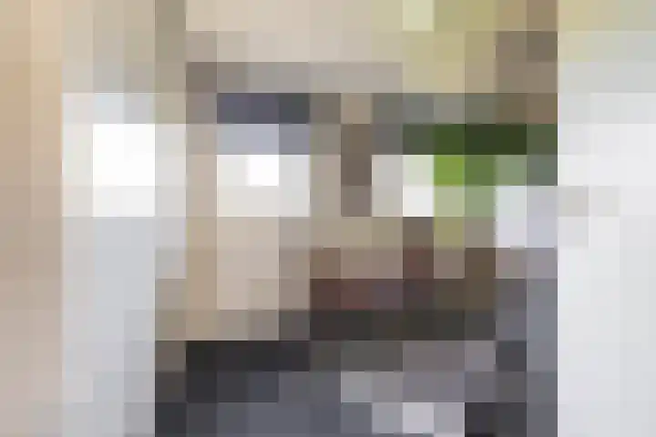 Calèchelaan 2 Leek thumbnail 46