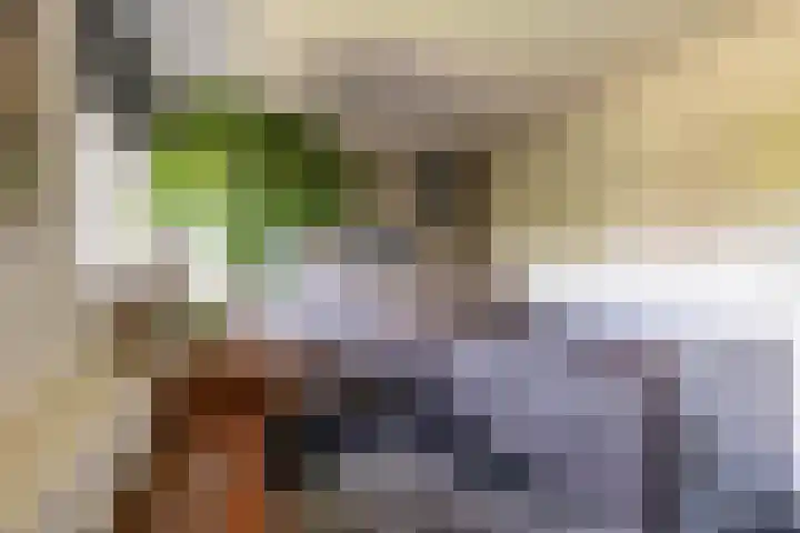 Calèchelaan 2 Leek thumbnail 47