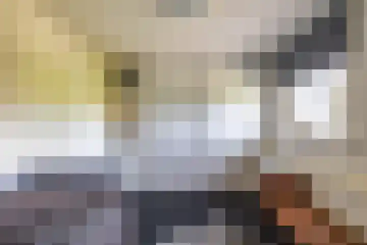 Calèchelaan 2 Leek thumbnail 48