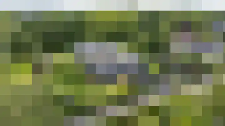 Calèchelaan 2 Leek thumbnail 5