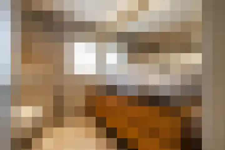 Calèchelaan 2 Leek thumbnail 53