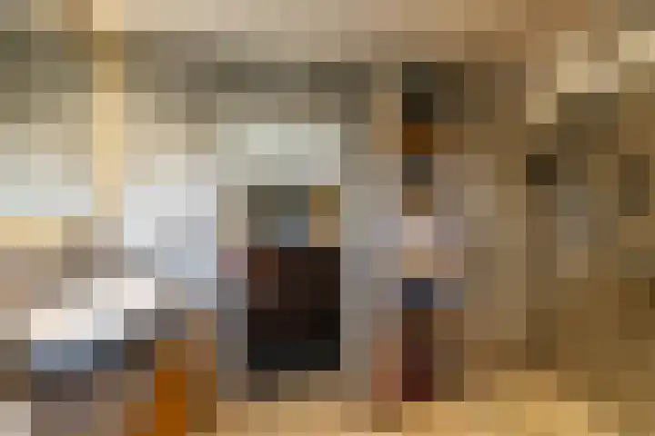 Calèchelaan 2 Leek thumbnail 55