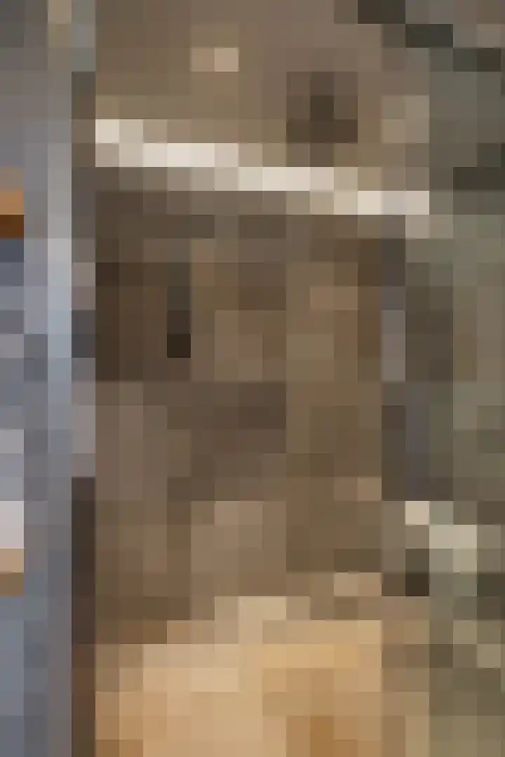 Calèchelaan 2 Leek thumbnail 56