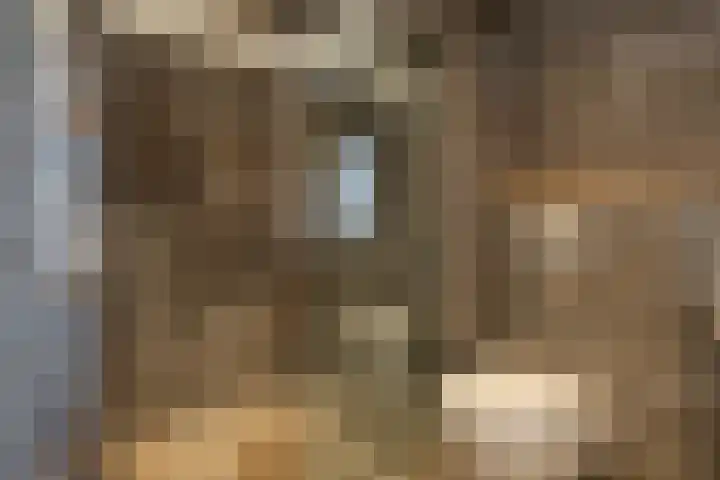 Calèchelaan 2 Leek thumbnail 58