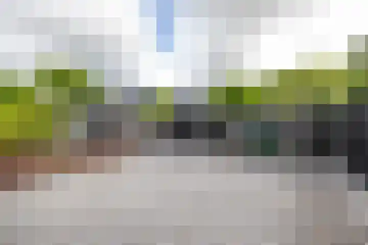 Calèchelaan 2 Leek thumbnail 6