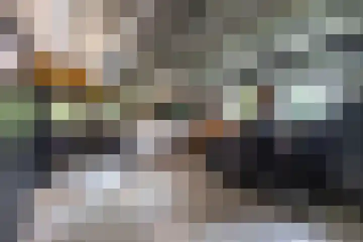 Calèchelaan 2 Leek thumbnail 60