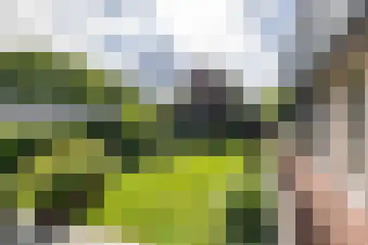 Calèchelaan 2 Leek thumbnail 64