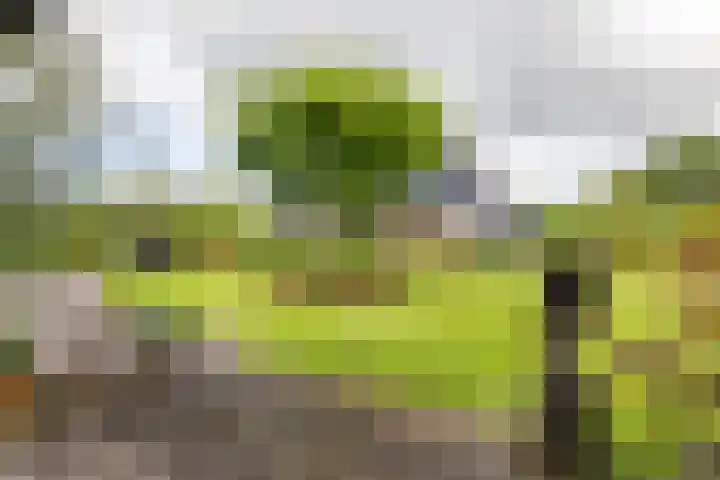 Calèchelaan 2 Leek thumbnail 65