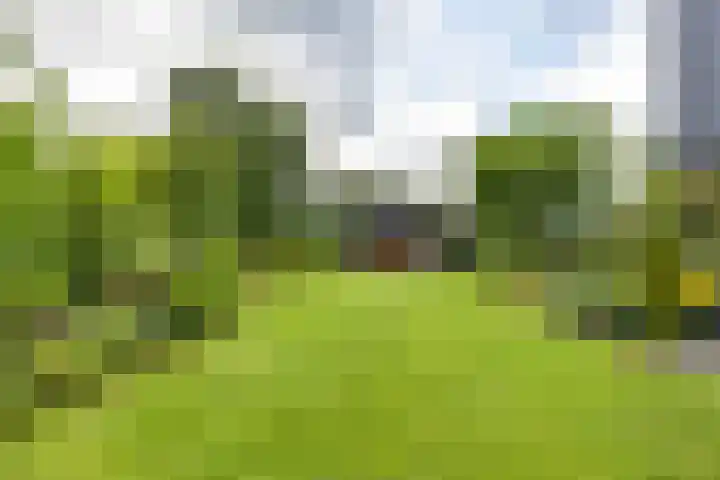 Calèchelaan 2 Leek thumbnail 66