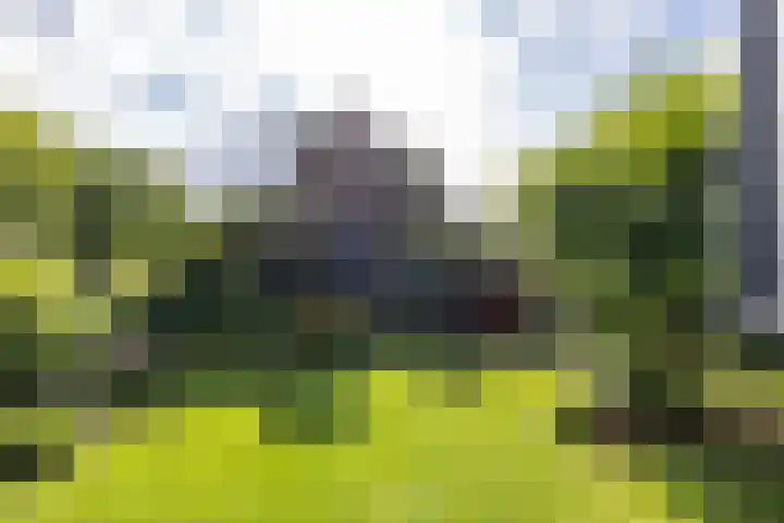 Calèchelaan 2 Leek thumbnail 67