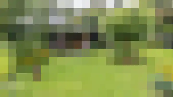 Calèchelaan 2 Leek thumbnail 68