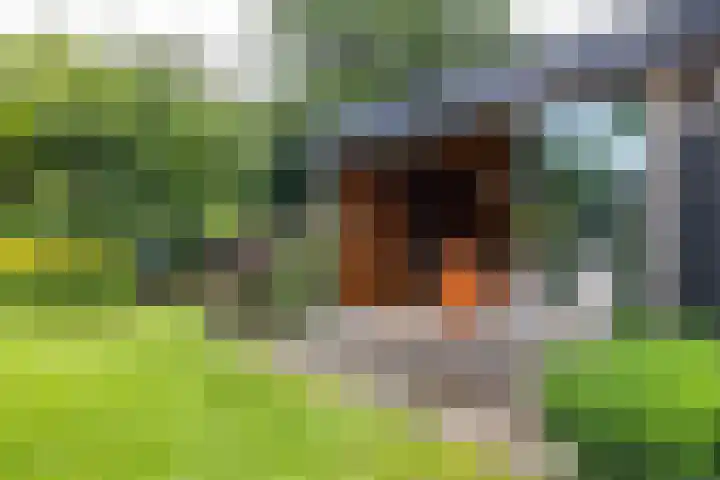 Calèchelaan 2 Leek thumbnail 70