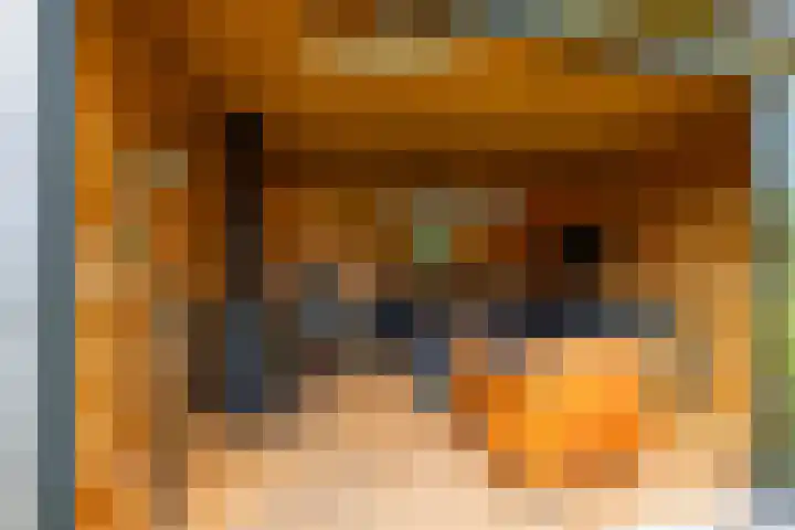Calèchelaan 2 Leek thumbnail 71