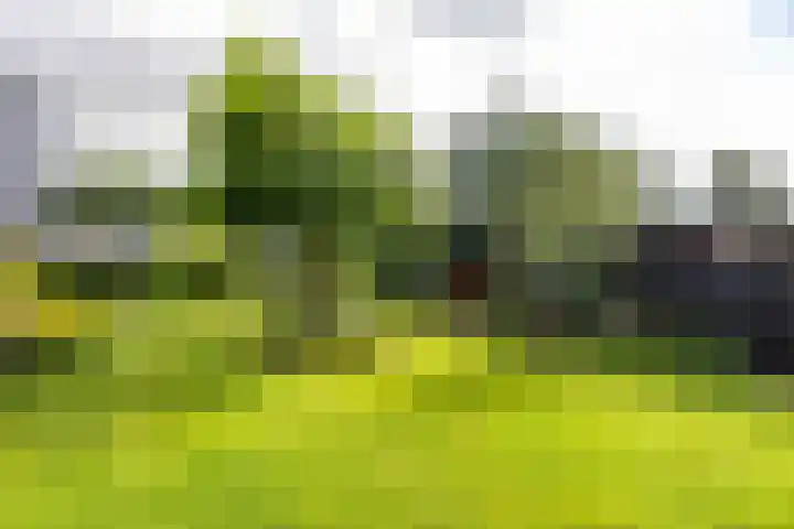 Calèchelaan 2 Leek thumbnail 74