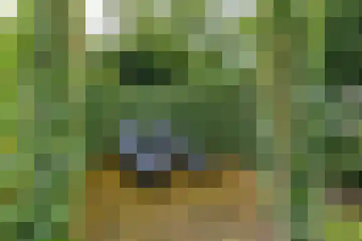 Calèchelaan 2 Leek thumbnail 75